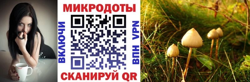 Галлюциногенные грибы Magic Shrooms купить Питкяранта